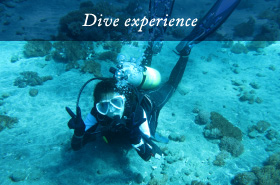Dive experience