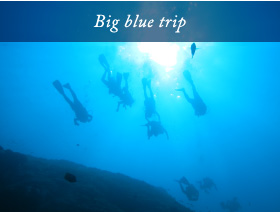Big blue trip