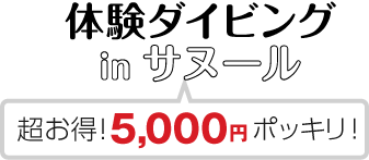 体験ダイビングinサヌール【超お得5,000円ポッキリ！】